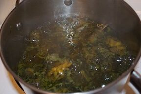 zdravljenje krčnih žil z decokcijami